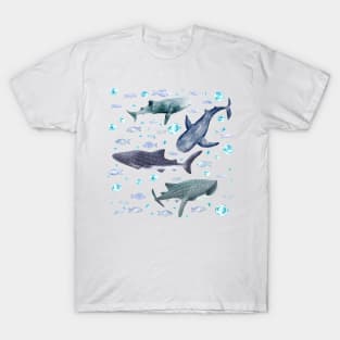 Whale Sharks T-Shirt